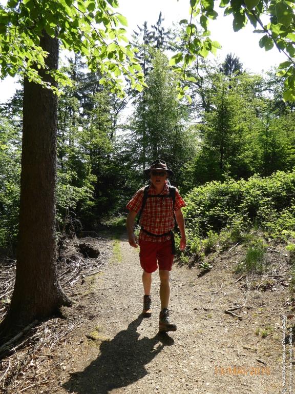 Philosophische Bildwanderung Die Donnersberg-Felsen - Pfalz