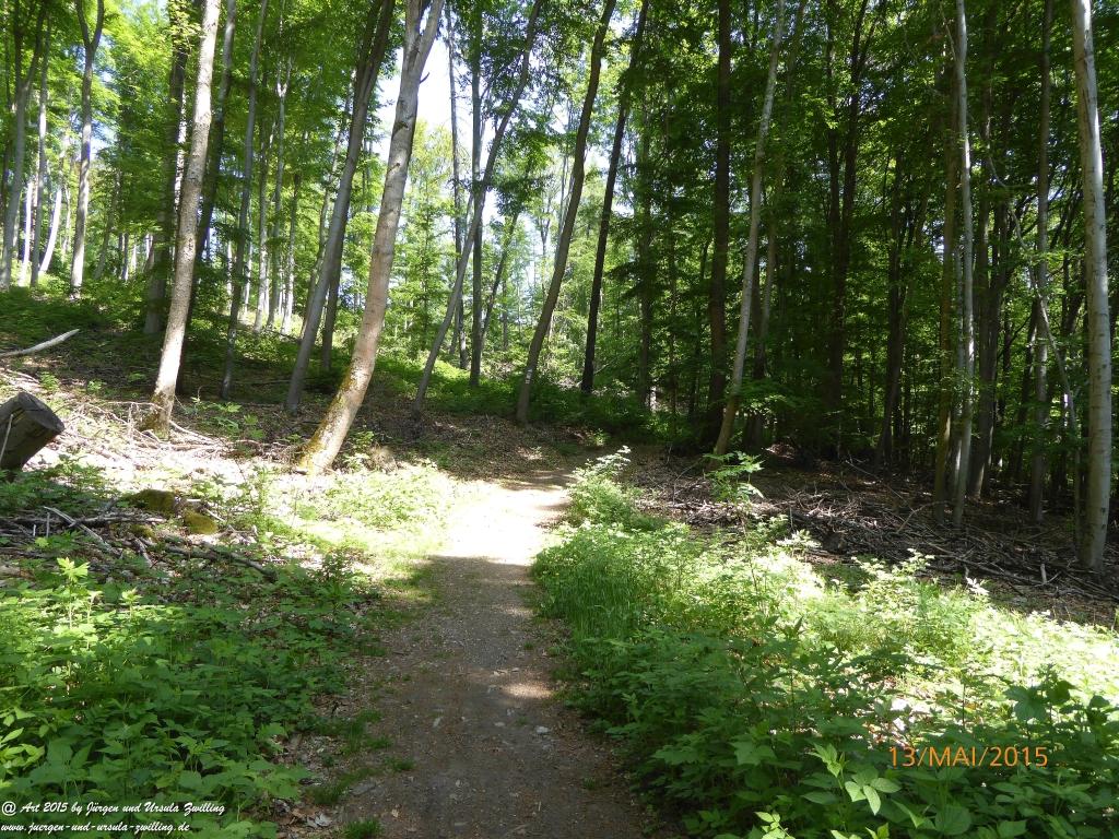 Philosophische Bildwanderung Die Donnersberg-Felsen - Pfalz