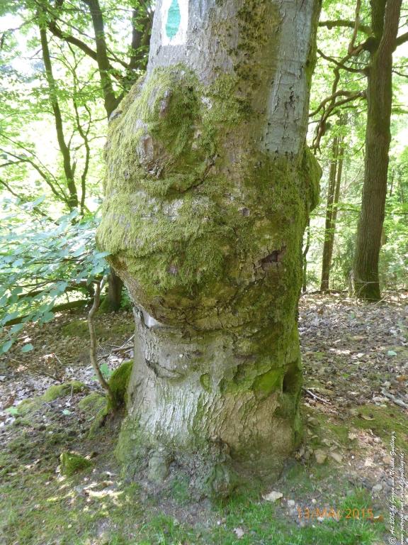 Philosophische Bildwanderung Die Donnersberg-Felsen - Pfalz