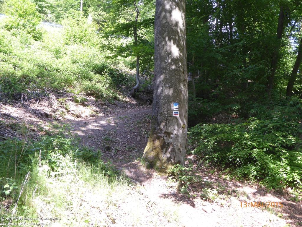 Philosophische Bildwanderung Die Donnersberg-Felsen - Pfalz