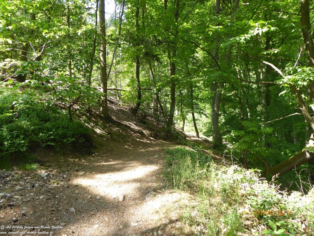 Philosophische Bildwanderung Die Donnersberg-Felsen - Pfalz