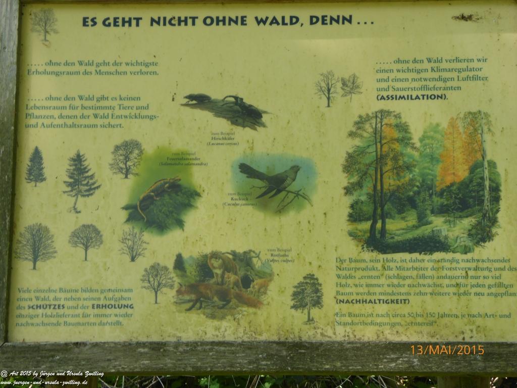 Philosophische Bildwanderung Die Donnersberg-Felsen - Pfalz