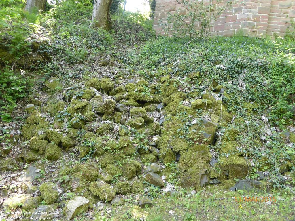Philosophische Bildwanderung Die Donnersberg-Felsen - Pfalz