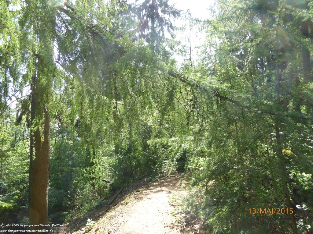 Philosophische Bildwanderung Die Donnersberg-Felsen - Pfalz