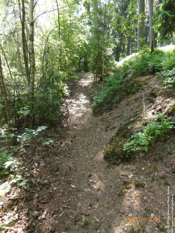 Philosophische Bildwanderung Die Donnersberg-Felsen - Pfalz