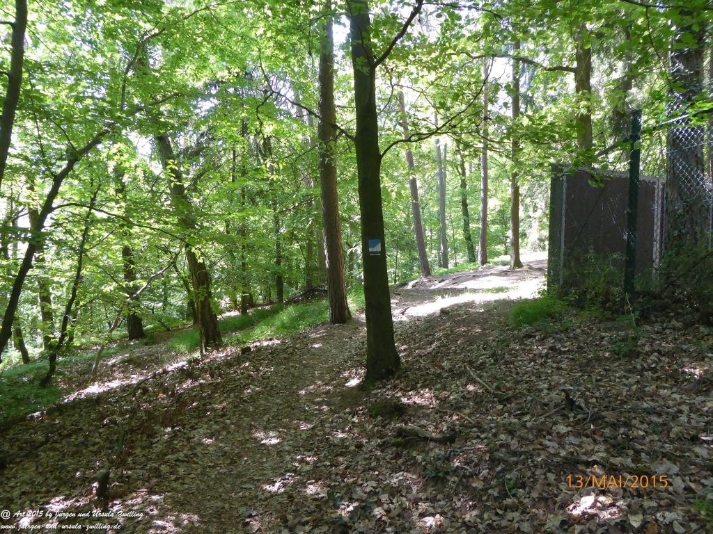 Philosophische Bildwanderung Die Donnersberg-Felsen - Pfalz