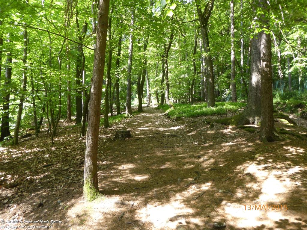 Philosophische Bildwanderung Die Donnersberg-Felsen - Pfalz