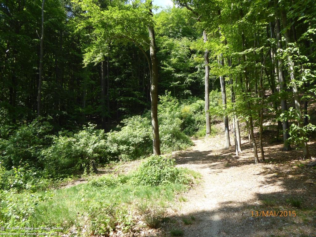 Philosophische Bildwanderung Die Donnersberg-Felsen - Pfalz