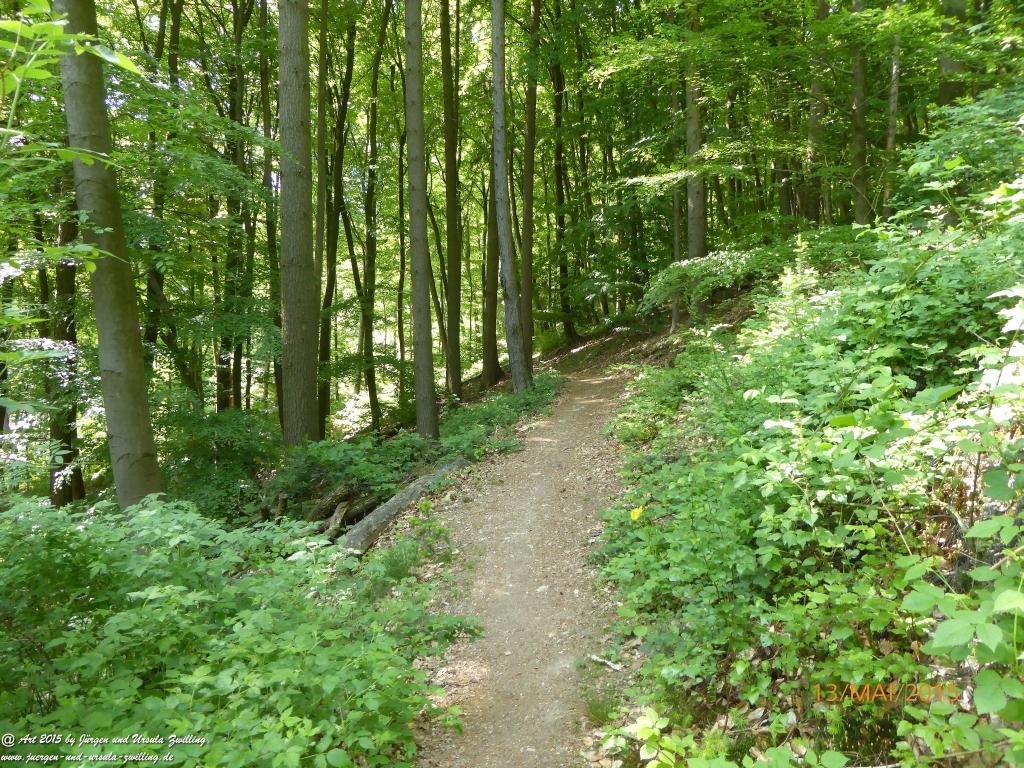 Philosophische Bildwanderung Die Donnersberg-Felsen - Pfalz