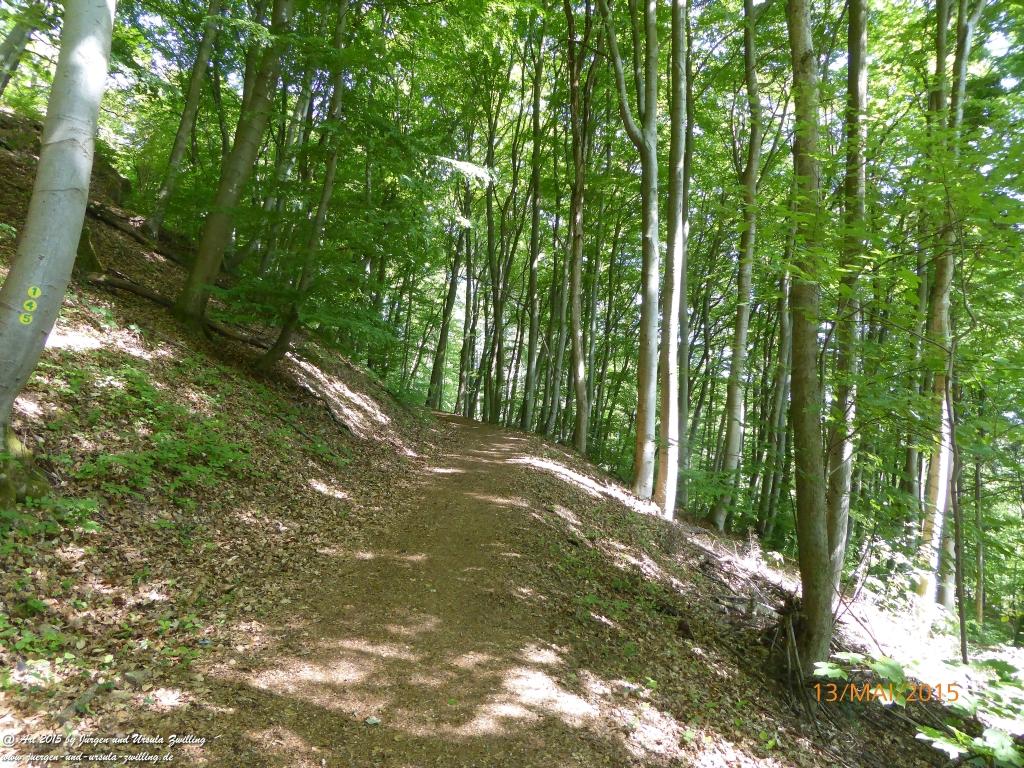 Philosophische Bildwanderung Die Donnersberg-Felsen - Pfalz