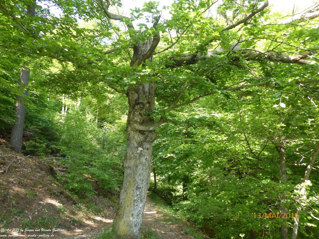 Philosophische Bildwanderung Die Donnersberg-Felsen - Pfalz