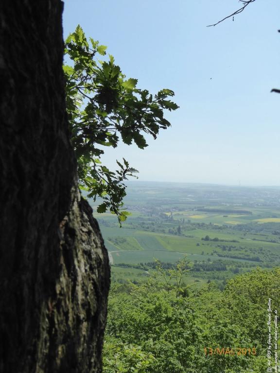 Philosophische Bildwanderung Die Donnersberg-Felsen - Pfalz