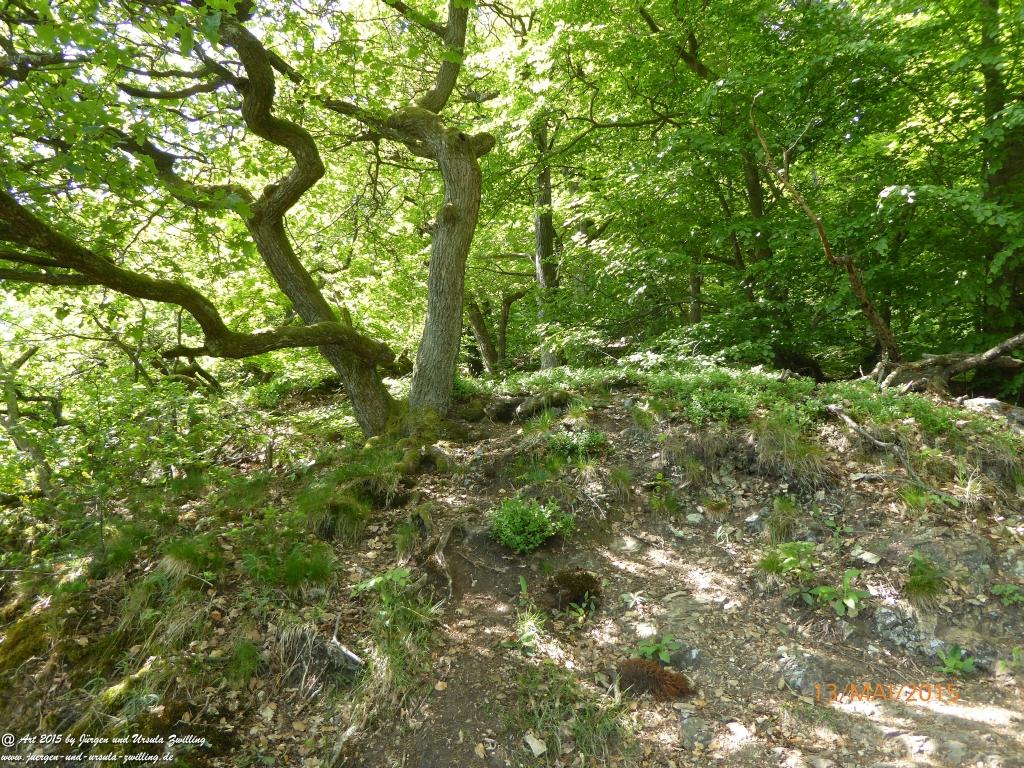 Philosophische Bildwanderung Die Donnersberg-Felsen - Pfalz