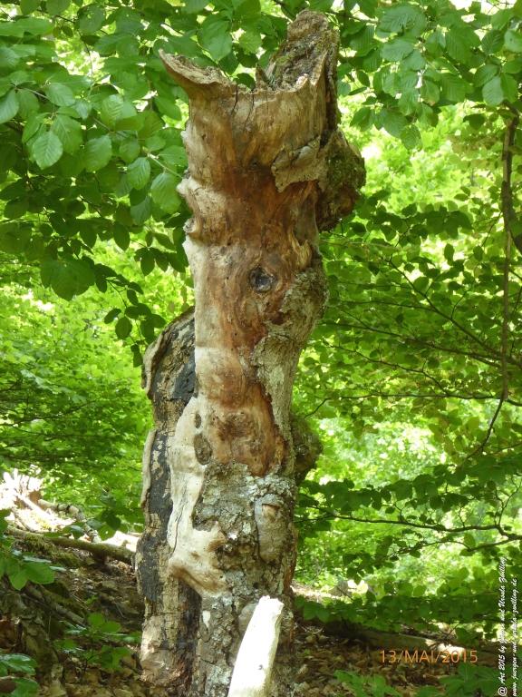 Philosophische Bildwanderung Die Donnersberg-Felsen - Pfalz