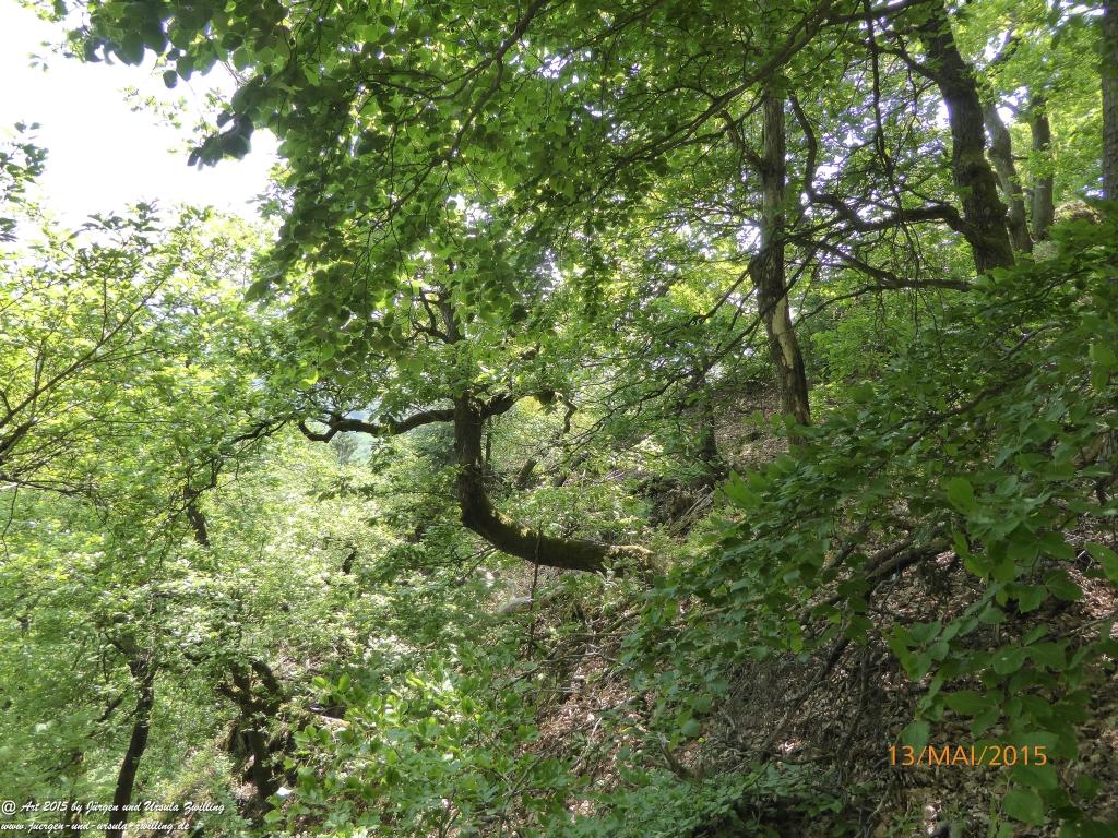 Philosophische Bildwanderung Die Donnersberg-Felsen - Pfalz