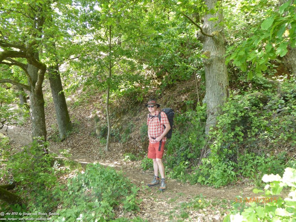 Philosophische Bildwanderung Die Donnersberg-Felsen - Pfalz