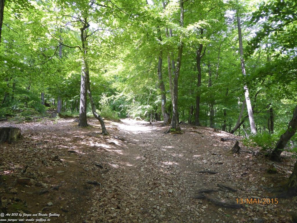 Philosophische Bildwanderung Die Donnersberg-Felsen - Pfalz