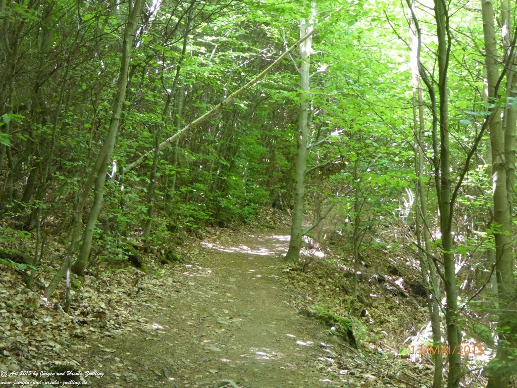 Philosophische Bildwanderung Die Donnersberg-Felsen - Pfalz