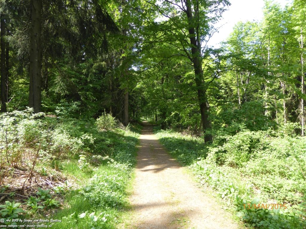 Philosophische Bildwanderung Die Donnersberg-Felsen - Pfalz
