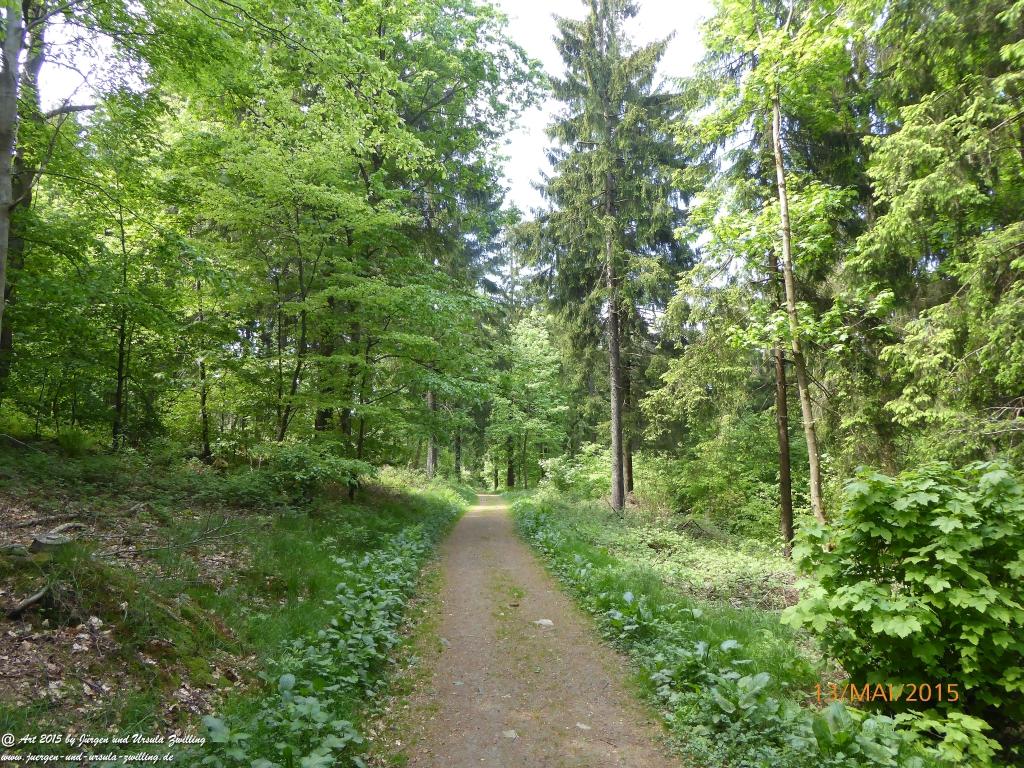 Philosophische Bildwanderung Die Donnersberg-Felsen - Pfalz
