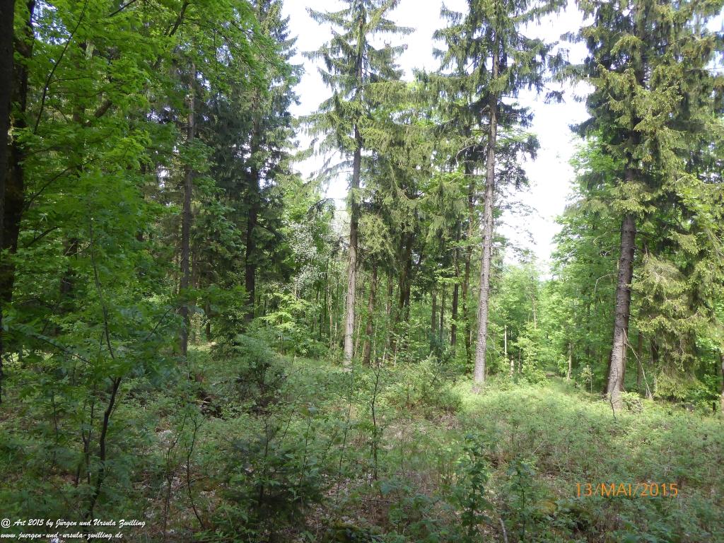 Philosophische Bildwanderung Die Donnersberg-Felsen - Pfalz