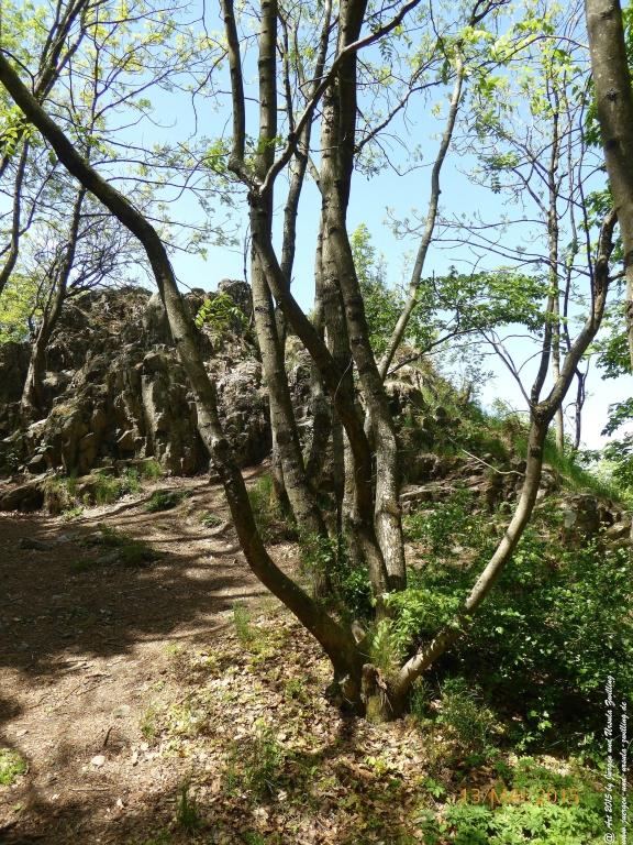 Philosophische Bildwanderung Die Donnersberg-Felsen - Pfalz