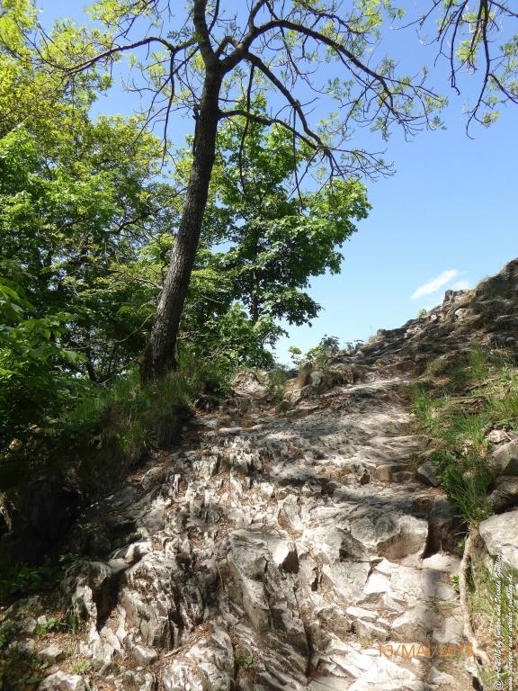 Philosophische Bildwanderung Die Donnersberg-Felsen - Pfalz