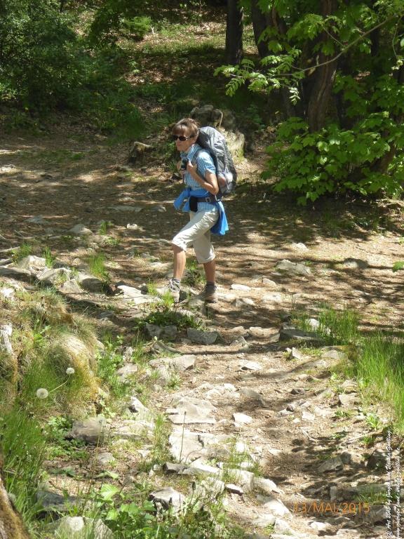 Philosophische Bildwanderung Die Donnersberg-Felsen - Pfalz