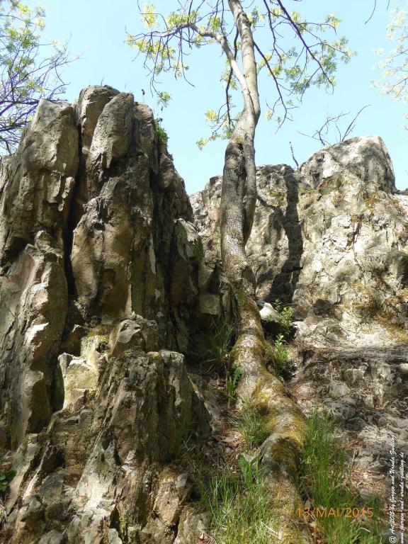 Philosophische Bildwanderung Die Donnersberg-Felsen - Pfalz