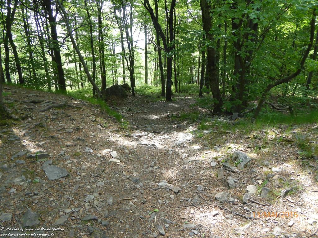 Philosophische Bildwanderung Die Donnersberg-Felsen - Pfalz