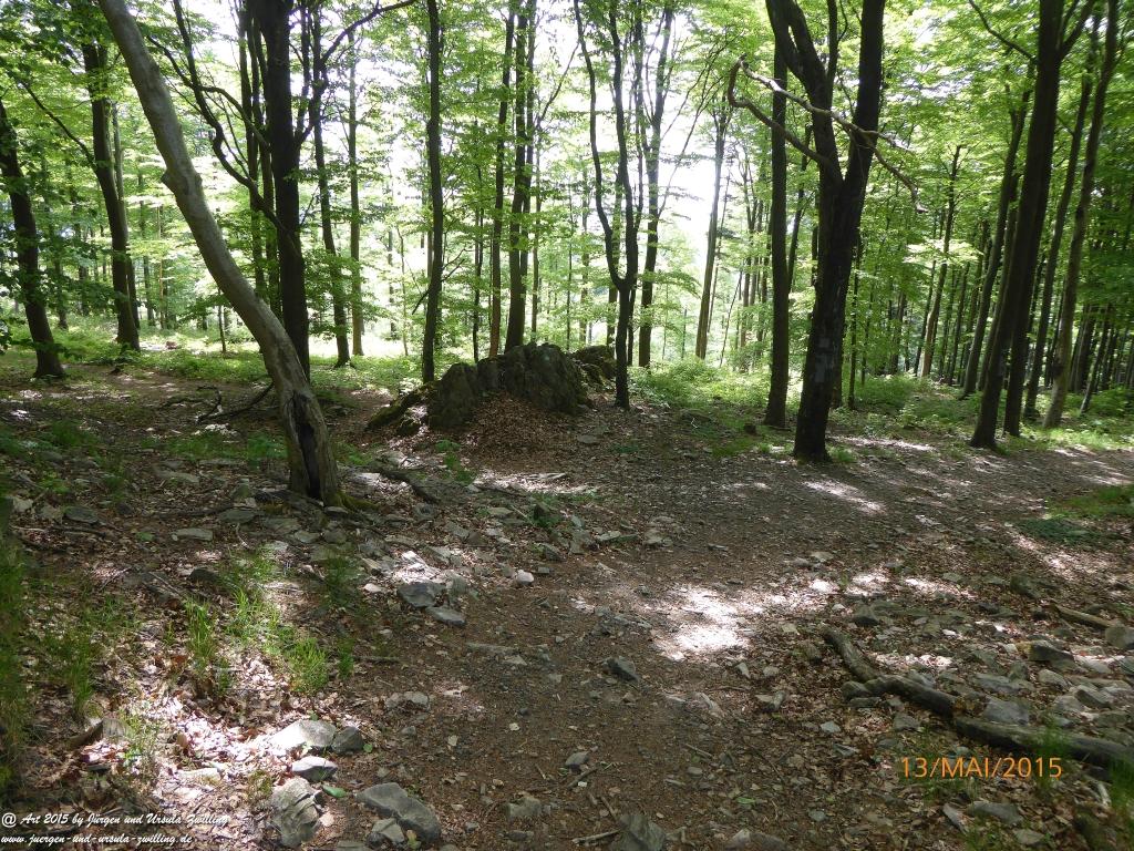 Philosophische Bildwanderung Die Donnersberg-Felsen - Pfalz