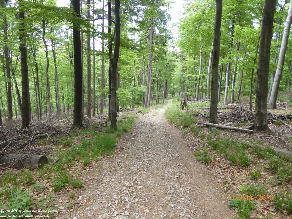 Philosophische Bildwanderung Die Donnersberg-Felsen - Pfalz