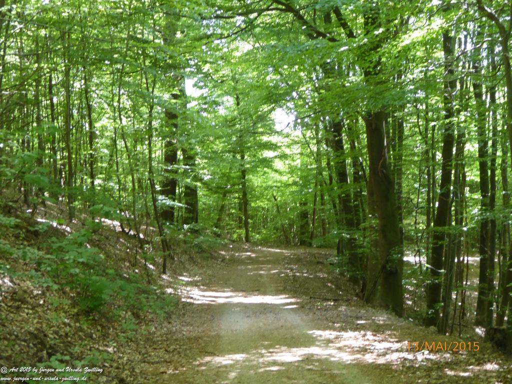 Philosophische Bildwanderung Die Donnersberg-Felsen - Pfalz