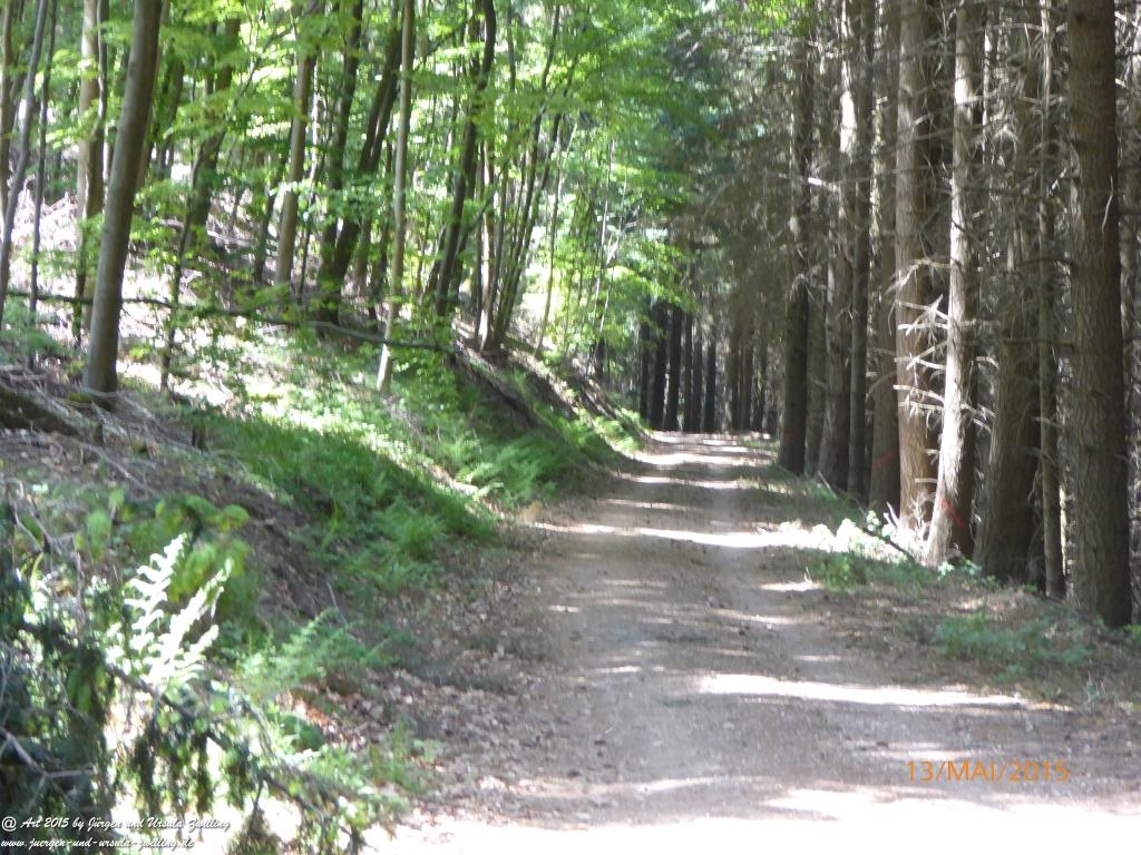 Philosophische Bildwanderung Die Donnersberg-Felsen - Pfalz