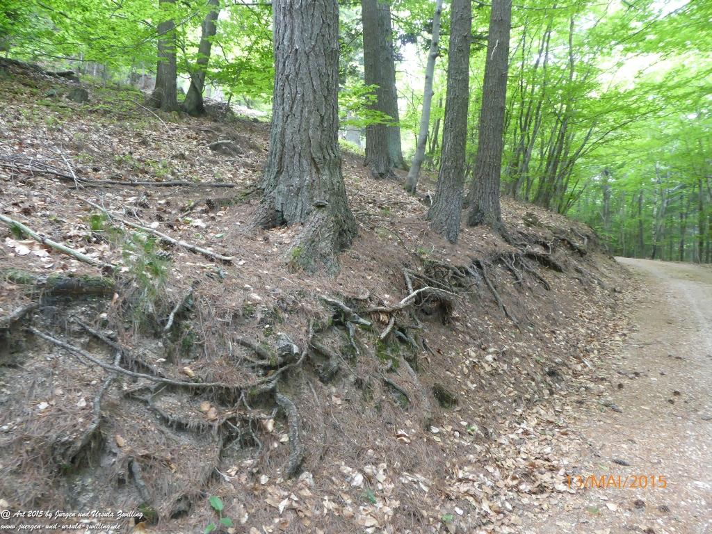 Philosophische Bildwanderung Die Donnersberg-Felsen - Pfalz
