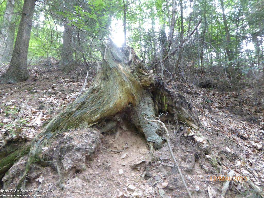 Philosophische Bildwanderung Die Donnersberg-Felsen - Pfalz