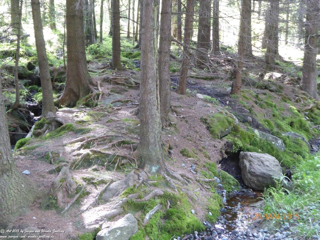 Philosophische Bildwanderung Karpacz - Kocioł Łomniczki - Śnieżka - Karkonosze - Krakonoše - Polen - Tschechien(Krummhübel - Melzergrund - Schneekoppe Riesengebirge)