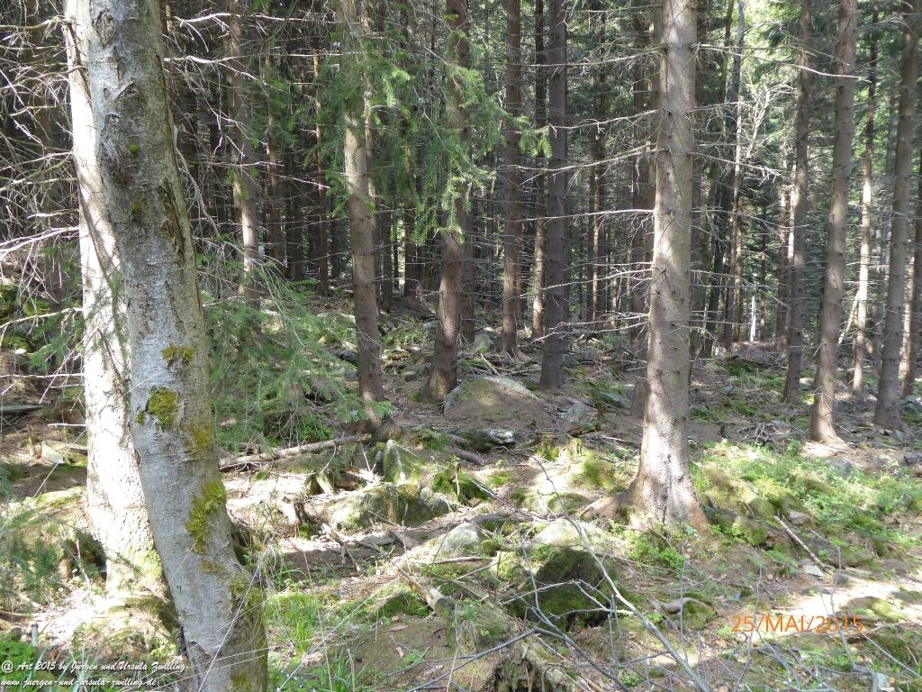 Philosophische Bildwanderung Karpacz - Kocioł Łomniczki - Śnieżka - Karkonosze - Krakonoše - Polen - Tschechien(Krummhübel - Melzergrund - Schneekoppe Riesengebirge)