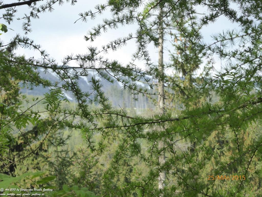 Philosophische Bildwanderung Karpacz - Kocioł Łomniczki - Śnieżka - Karkonosze - Krakonoše - Polen - Tschechien(Krummhübel - Melzergrund - Schneekoppe Riesengebirge)