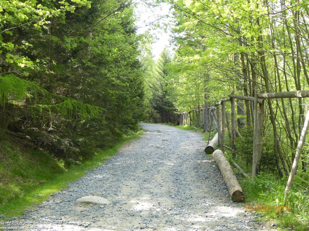 Philosophische Bildwanderung Karpacz - Kocioł Łomniczki - Śnieżka - Karkonosze - Krakonoše - Polen - Tschechien(Krummhübel - Melzergrund - Schneekoppe Riesengebirge)