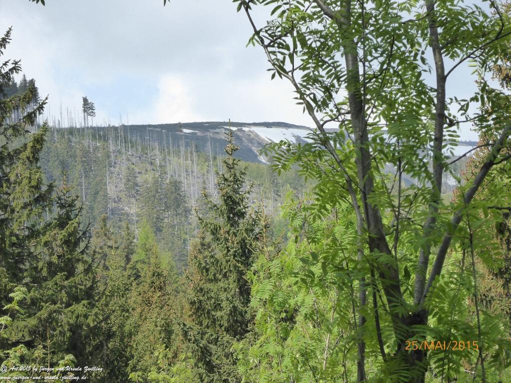 Philosophische Bildwanderung Karpacz - Kocioł Łomniczki - Śnieżka - Karkonosze - Krakonoše - Polen - Tschechien(Krummhübel - Melzergrund - Schneekoppe Riesengebirge)