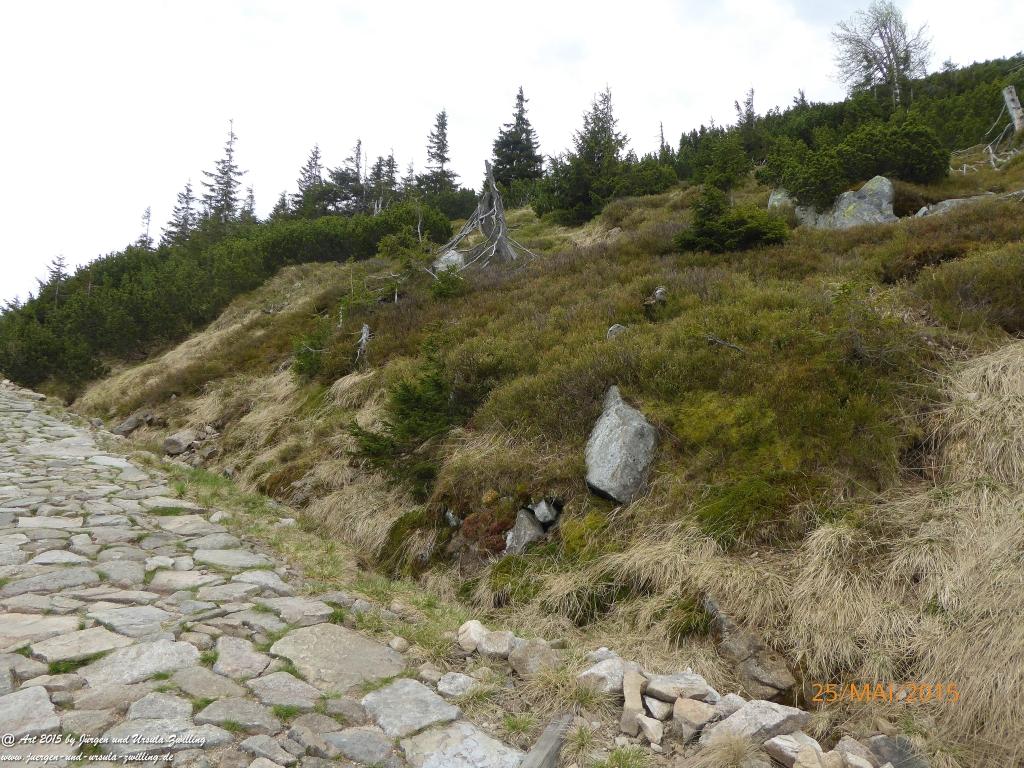 Philosophische Bildwanderung Karpacz - Kocioł Łomniczki - Śnieżka - Karkonosze - Krakonoše - Polen - Tschechien(Krummhübel - Melzergrund - Schneekoppe Riesengebirge)