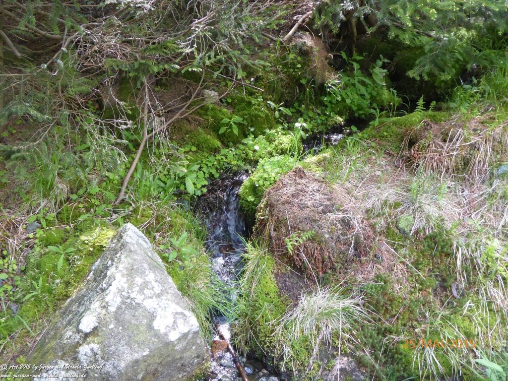 Philosophische Bildwanderung Karpacz - Kocioł Łomniczki - Śnieżka - Karkonosze - Krakonoše - Polen - Tschechien(Krummhübel - Melzergrund - Schneekoppe Riesengebirge)