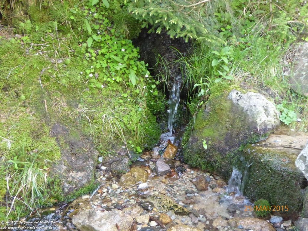 Philosophische Bildwanderung Karpacz - Kocioł Łomniczki - Śnieżka - Karkonosze - Krakonoše - Polen - Tschechien(Krummhübel - Melzergrund - Schneekoppe Riesengebirge)