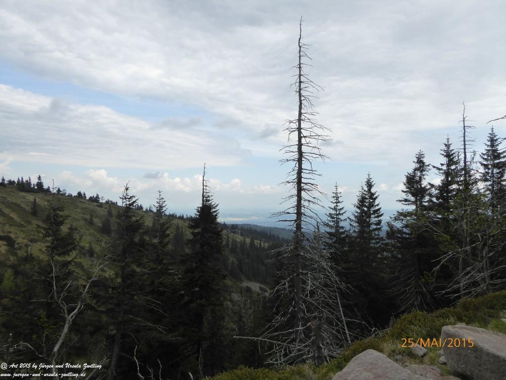 Philosophische Bildwanderung Karpacz - Kocioł Łomniczki - Śnieżka - Karkonosze - Krakonoše - Polen - Tschechien(Krummhübel - Melzergrund - Schneekoppe Riesengebirge)