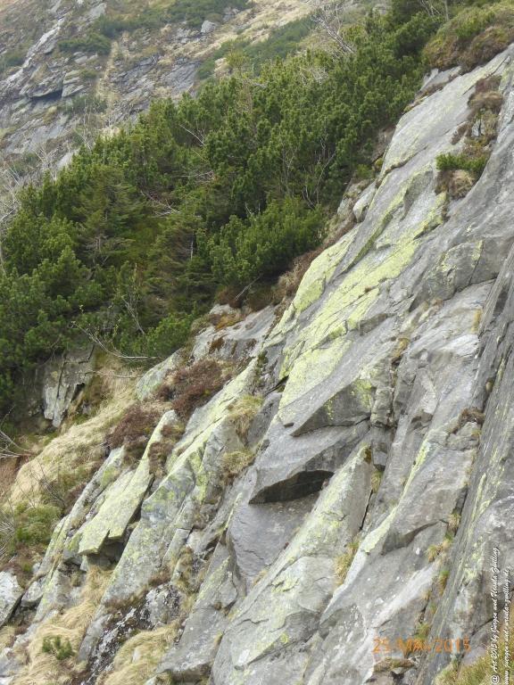 Philosophische Bildwanderung Karpacz - Kocioł Łomniczki - Śnieżka - Karkonosze - Krakonoše - Polen - Tschechien(Krummhübel - Melzergrund - Schneekoppe Riesengebirge)