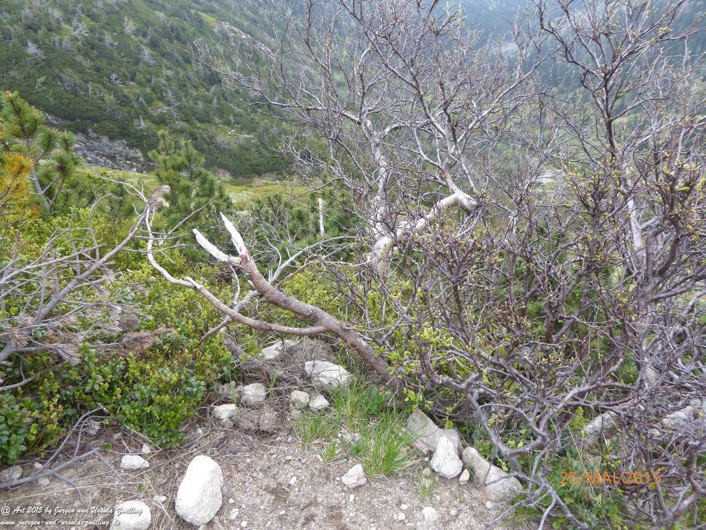 Philosophische Bildwanderung Karpacz - Kocioł Łomniczki - Śnieżka - Karkonosze - Krakonoše - Polen - Tschechien(Krummhübel - Melzergrund - Schneekoppe Riesengebirge)