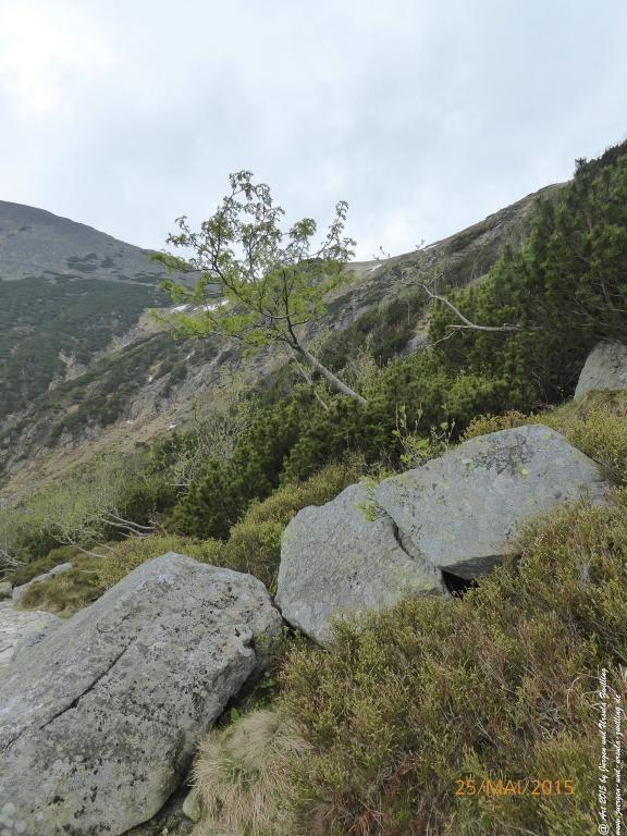 Philosophische Bildwanderung Karpacz - Kocioł Łomniczki - Śnieżka - Karkonosze - Krakonoše - Polen - Tschechien(Krummhübel - Melzergrund - Schneekoppe Riesengebirge)