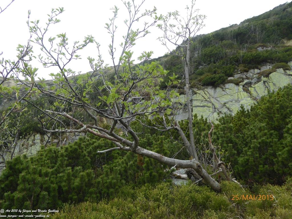 Philosophische Bildwanderung Karpacz - Kocioł Łomniczki - Śnieżka - Karkonosze - Krakonoše - Polen - Tschechien(Krummhübel - Melzergrund - Schneekoppe Riesengebirge)