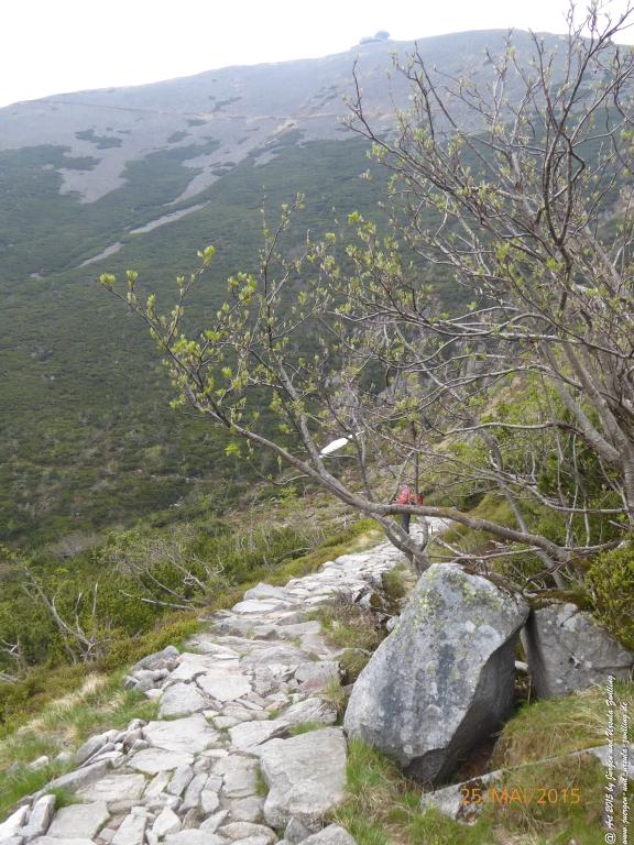 Philosophische Bildwanderung Karpacz - Kocioł Łomniczki - Śnieżka - Karkonosze - Krakonoše - Polen - Tschechien(Krummhübel - Melzergrund - Schneekoppe Riesengebirge)